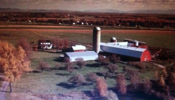 Ferme agricole 1980.