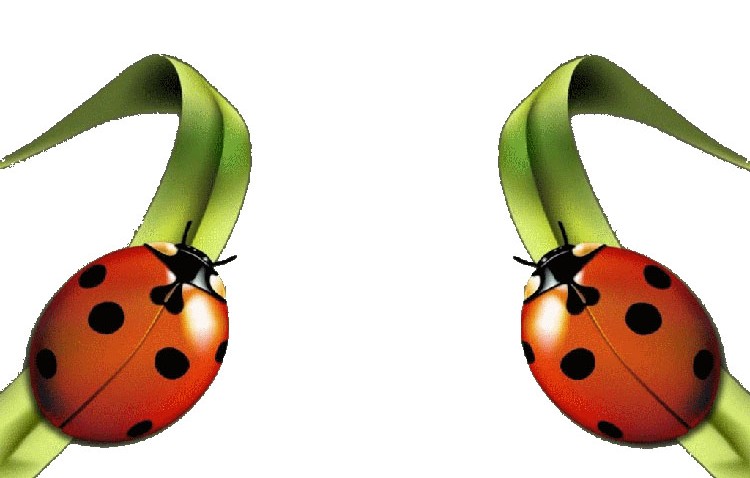 Garderie Les Coccinelles