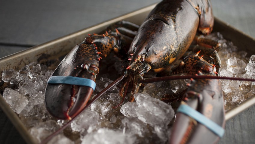 Souper de homard et rôti de bœuf à volonté !