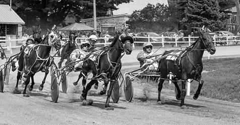 Course de chevaux avec pari mutuel