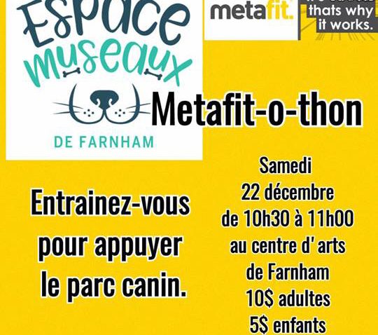 Metafit-o-thon