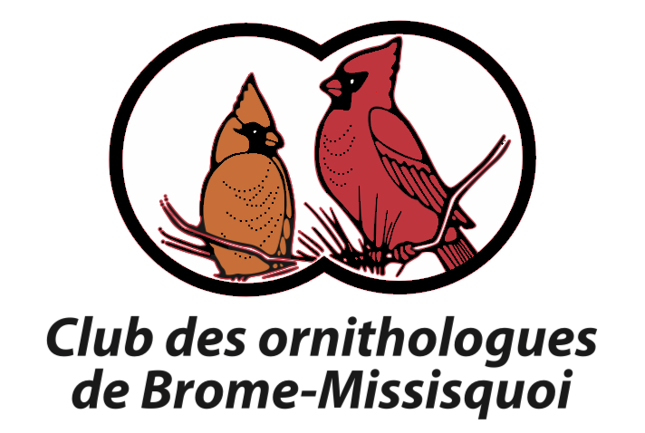 Club des ornithologues